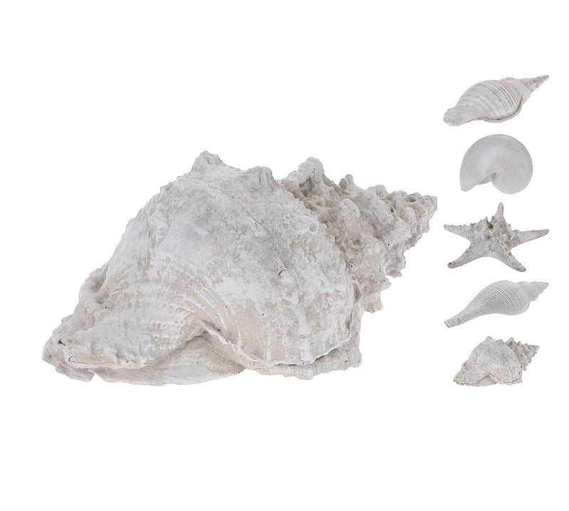 Διακοσμητικά κοχύλια πολυρέζιν 4σχ.,22cm