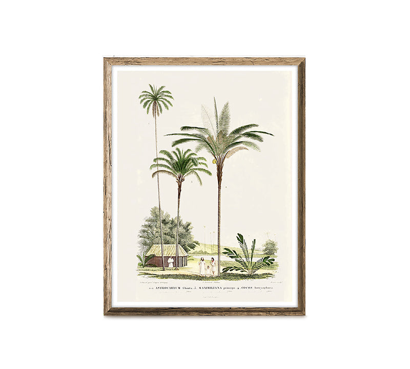 Πίνακας γκραβούρα με αγρόκτημα, 50x70cm