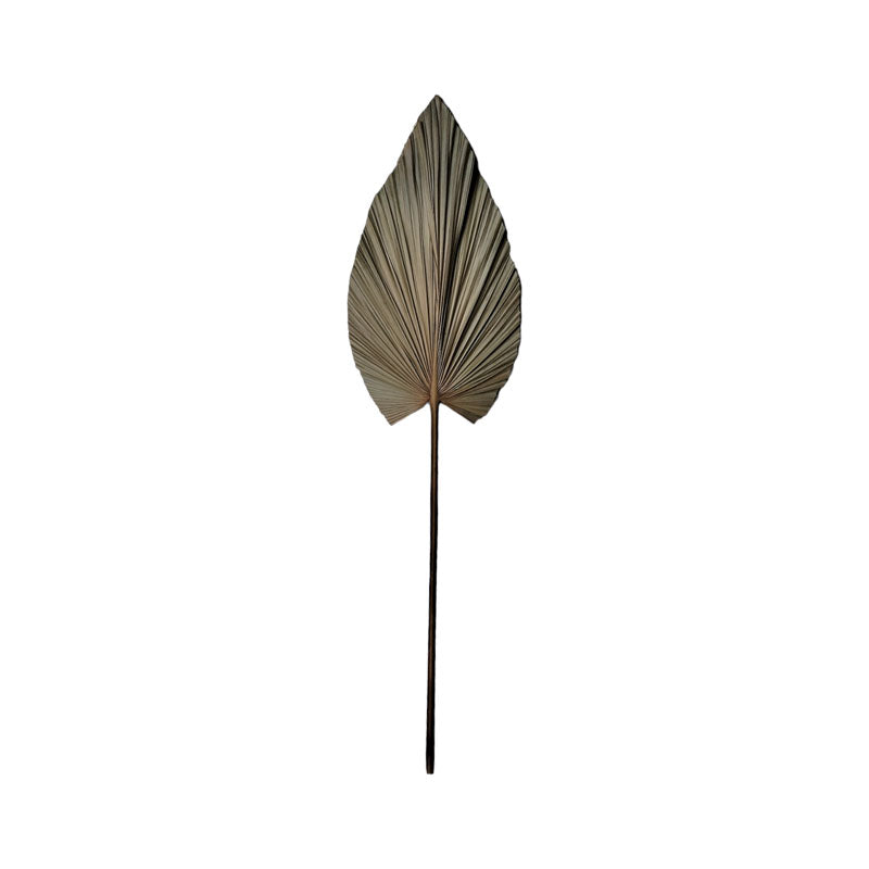 Διακοσμητικό φύλλο Leafen I Inart φυσικό palm leaf 130εκ