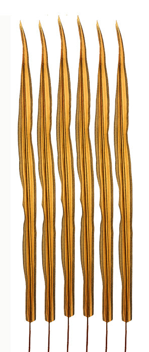 Φύλλο Λόγχης Πορτοκαλί