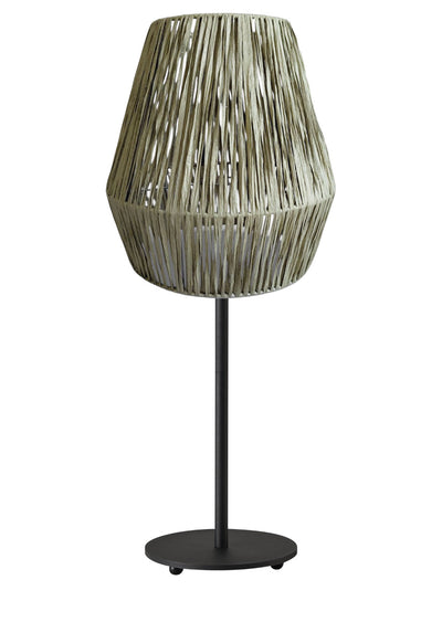 TLA 6873 GN/BK ΠΟΡΤΑΤΙΦ ΒΑΣΗ ΜΑΥΡΗ ΜΕ ΚΑΠΕΛΟ ΠΡΑΣΙΝΟ ΦΥΛΛΟ ΜΠΑΝΑΝΙΑΣ 1ΧΕ14