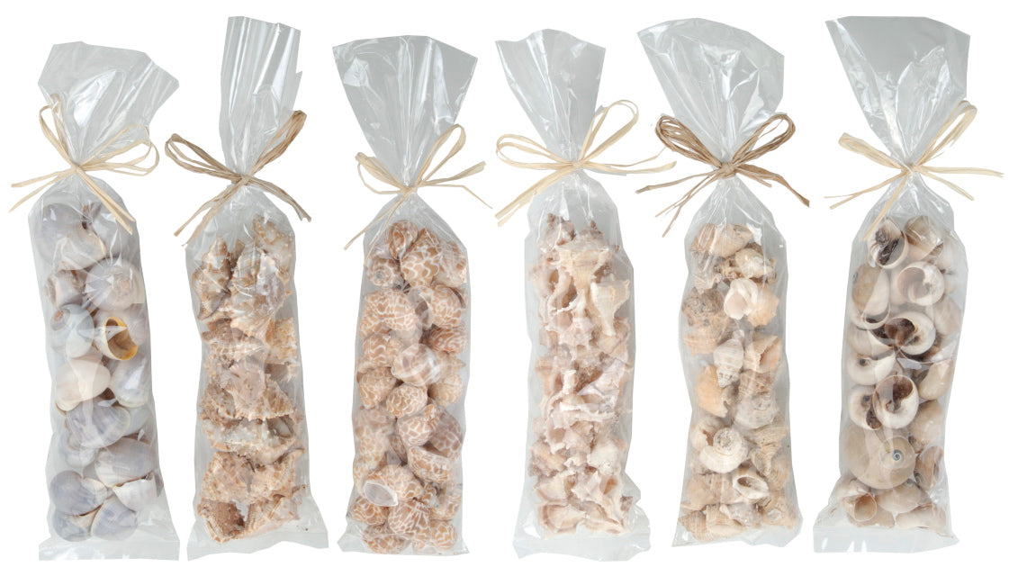 Κοχύλια διακοσμητικά σε σακούλα, 6 σχέδια