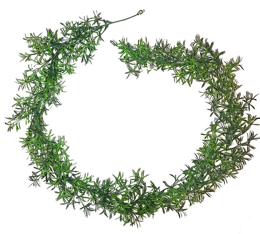 Καλλωπιστικό σπαράγγι,γιρλάντα 170cm