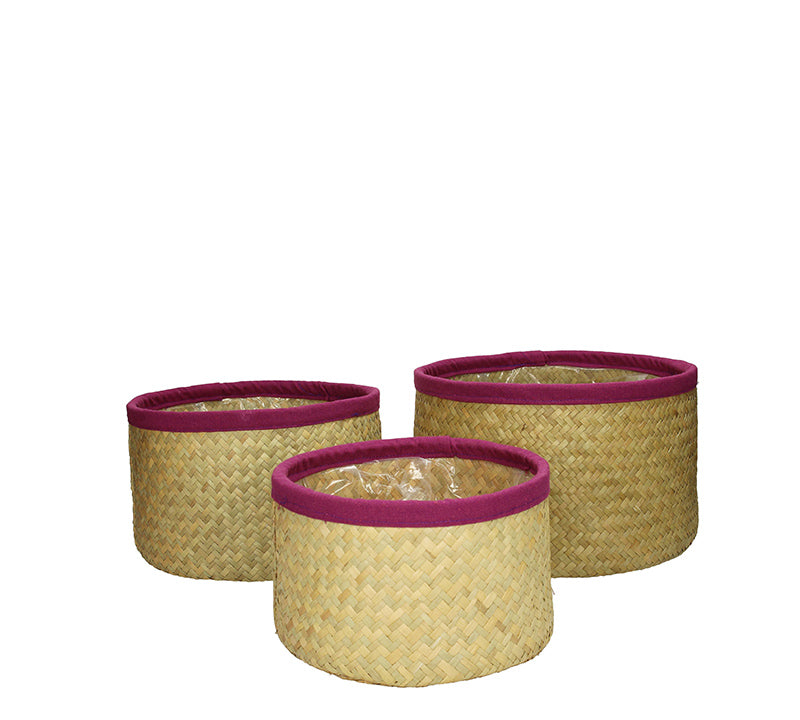 Σετ/3 καλάθια seagrass με βιολετί τρέσα,27x13cm