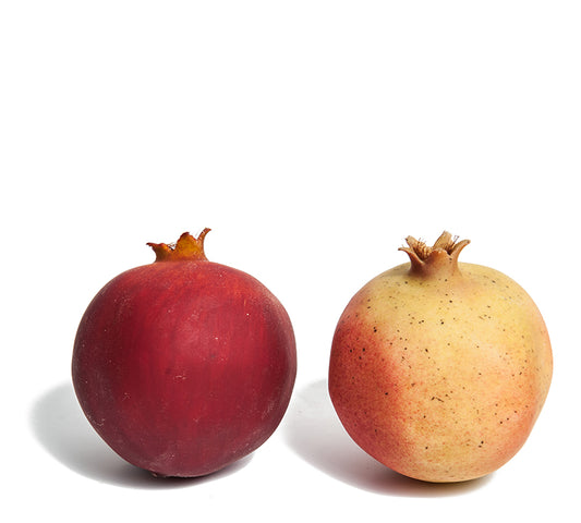 Ρόδι "real touch" σε χρώματα 8cm