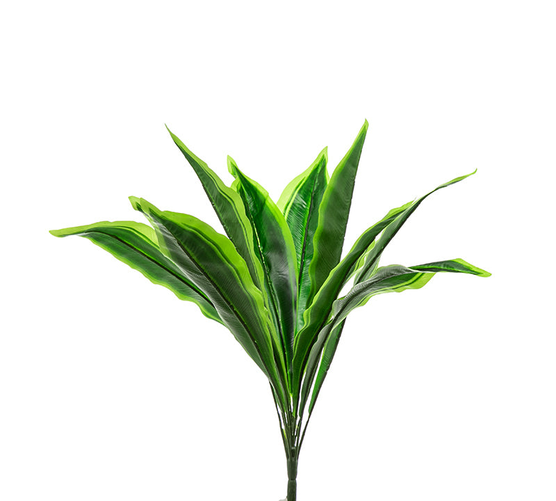 Μάτσο φύλλα αλόης σε πρασινο/κίτρινο χρ.57cm