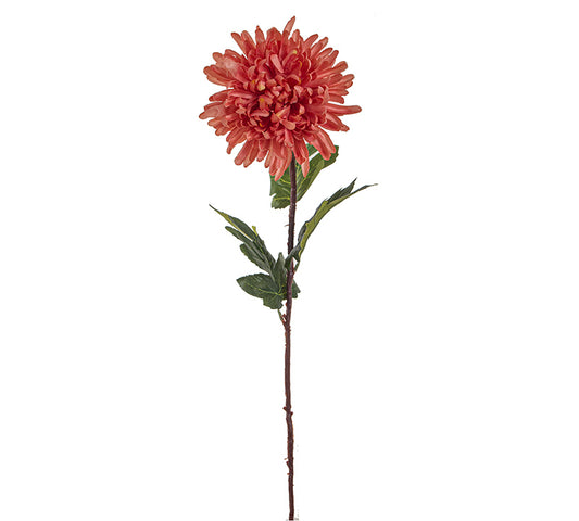 Χρυσάνθεμο κοραλί, διαμ.18cm