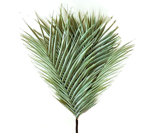 Φύλλα φοίνικα "Areca "σε μάτσο,52cm