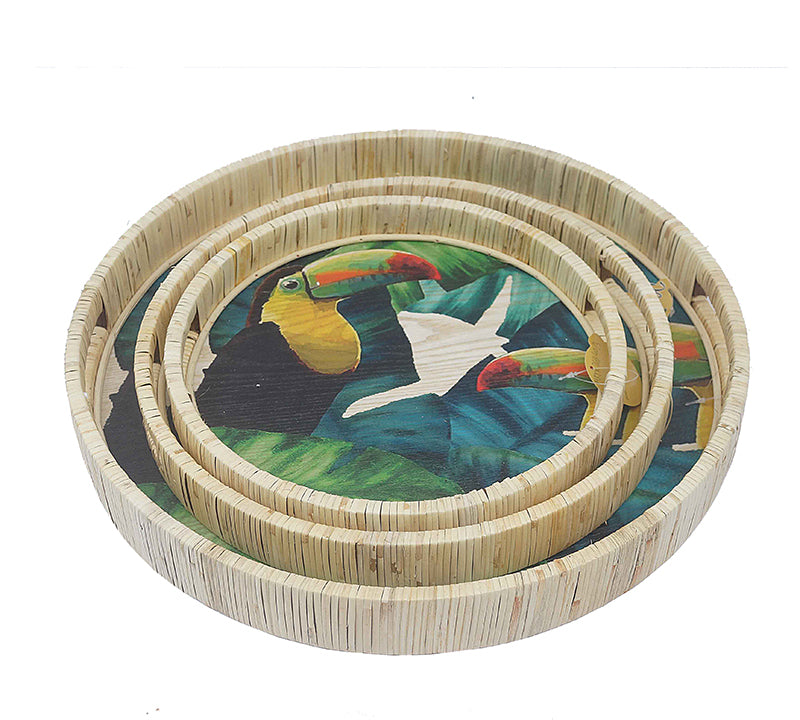 Σ/2 Δίσκοι Seagrass με χειροποίητη ζωγραφιά "Tucan",δ.30/37cm