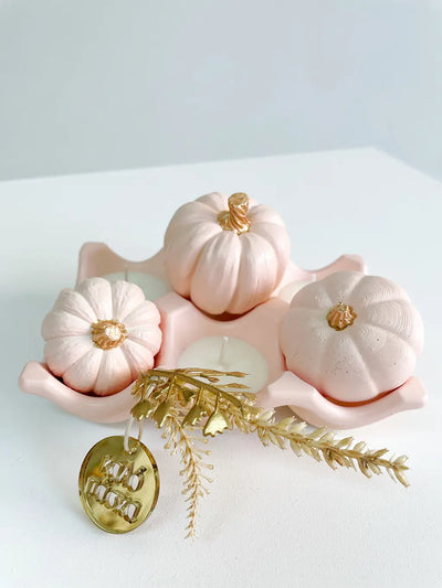 ΑΥΓΟΘΗΚΗ ΚΕΡΙ ΜΕ ΚΟΛΟΚΥΘΕΣ ΡΟΖ MANAKOU - ΠΑΣΧ26-Κ10-07