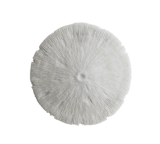 Διακοσμητικο κοράλι τοίχου, δ.35cm