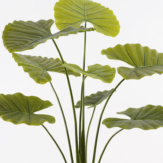 Διακοσμητικό φυτό σε γλάστρα Alocasia Inart πράσινο Φ90x120εκ
