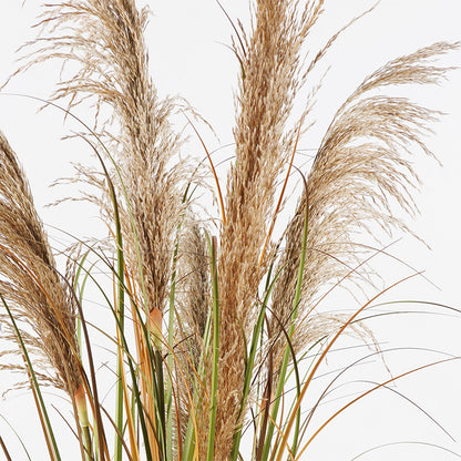 Διακοσμητικό φυτό σε γλάστρα Bulrush Inart Φ65x120εκ