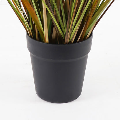 Διακοσμητικό φυτό σε γλάστρα Bulrush Inart Φ65x120εκ