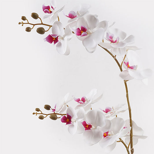 Διακοσμητικό φυτό σε γλάστρα Οrchid White Inart 36x17x65εκ