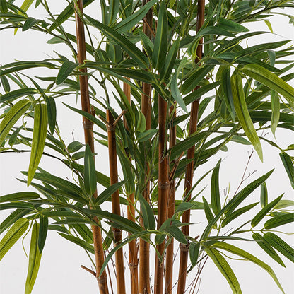Διακοσμητικό φυτό σε γλάστρα Rhapis Palm Inart πράσινο Φ80x180εκ