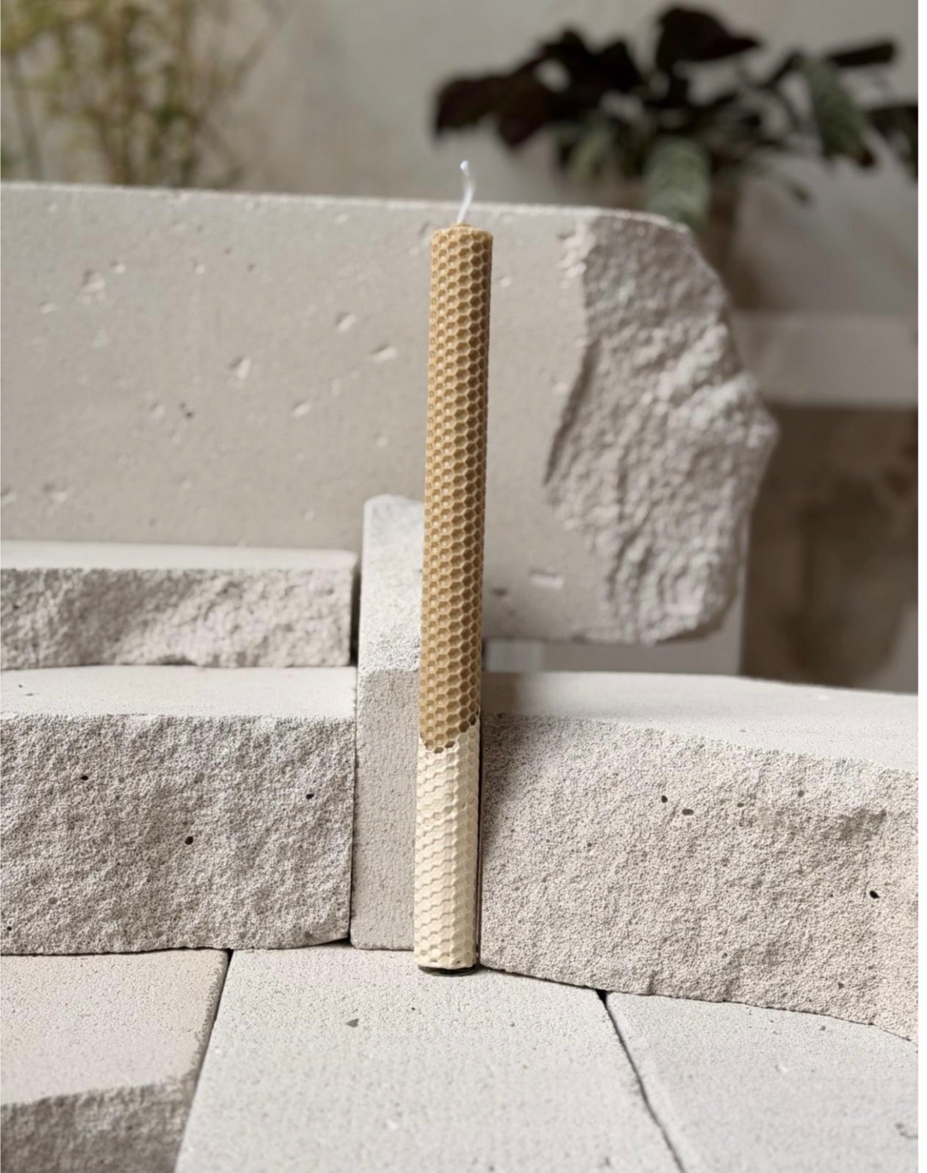 ΛΑΜΠΑΔΑ ΜΕΛΙΣΣΟΚΕΡΙ LATTE 30εκ OKU - 4194