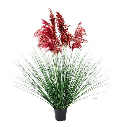 ΔΙΑΚΟΣΜΗΤΙΚΟ ΦΥΤΟ PAMPAS GRASS ΣΕ ΓΛΑΣΤΡΑ Fylliana 9008 ΚΟΚΚΙΝΟ ΧΡΩΜΑ 70x70x110εκ